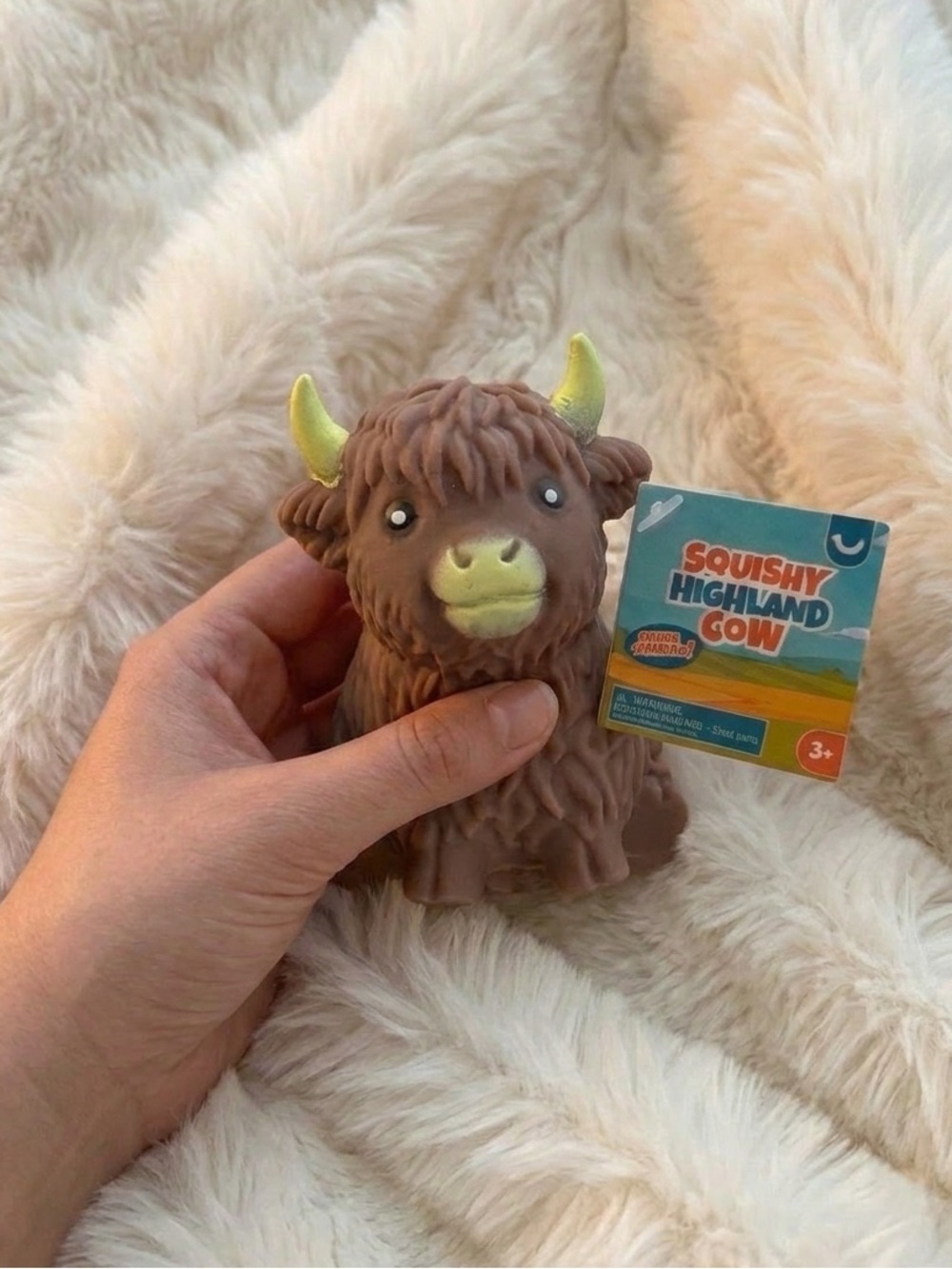 Squishy highland cow